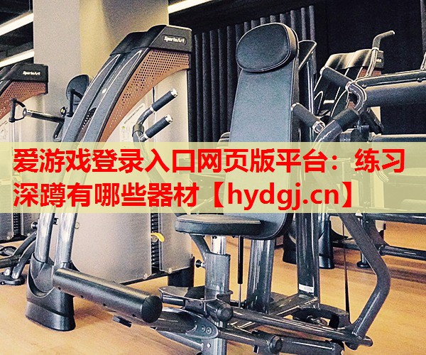 <strong>爱游戏登录入口网页版平台：练习深蹲有哪些器材</strong>