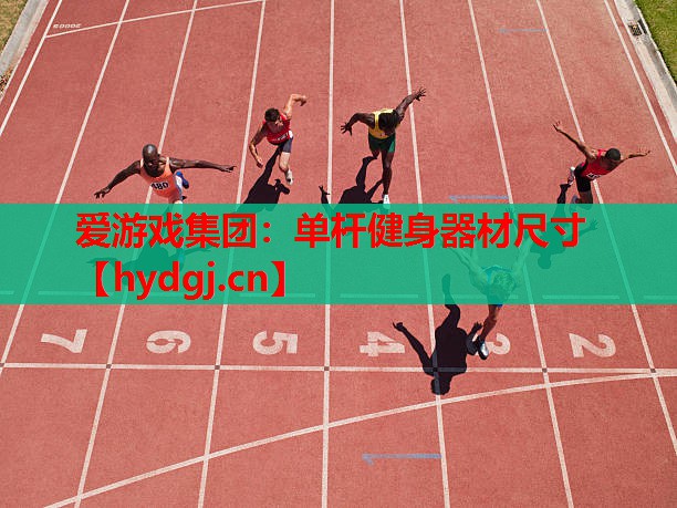 爱游戏集团：单杆健身器材尺寸