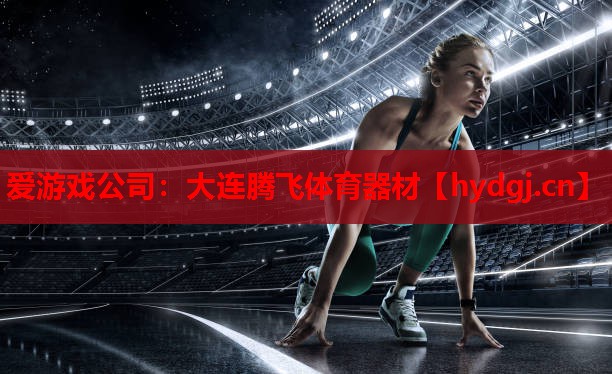 爱游戏公司：大连腾飞体育器材