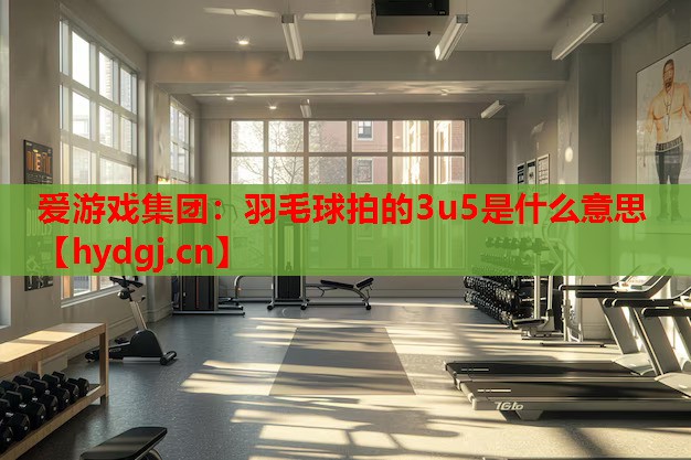 爱游戏集团：羽毛球拍的3u5是什么意思