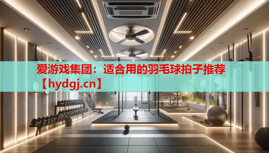 爱游戏集团：适合用的羽毛球拍子推荐