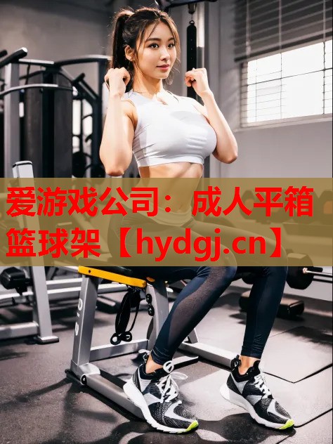 爱游戏公司：成人平箱篮球架