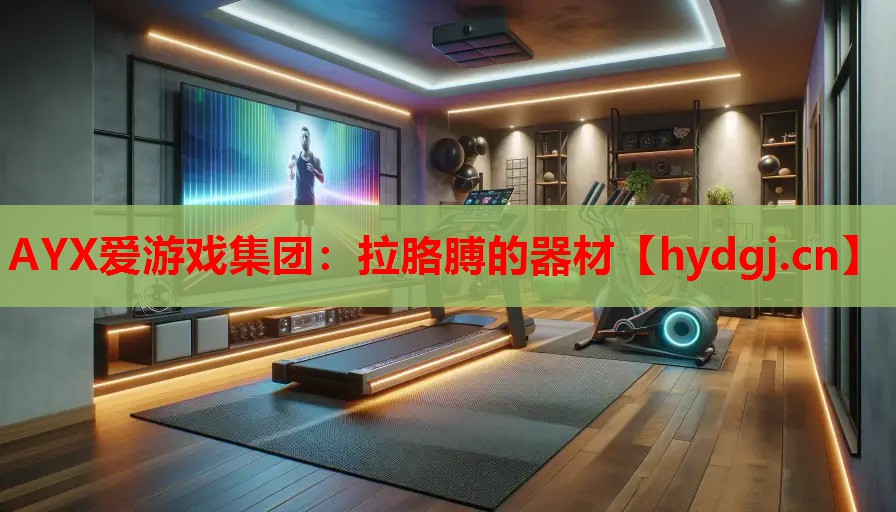 拉胳膊的器材 拉胳膊的器材