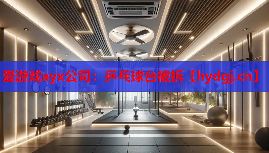 乒乓球台被拆 乒乓球台被拆