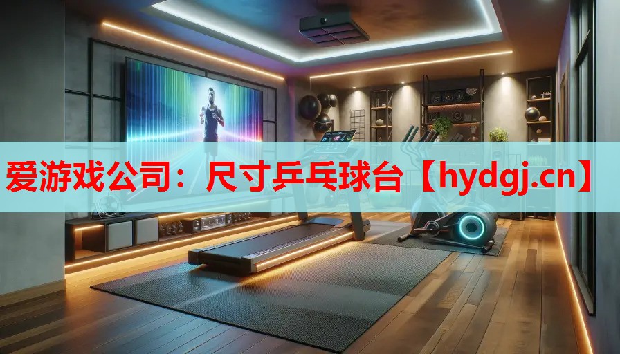 尺寸乒乓球台 尺寸乒乓球台