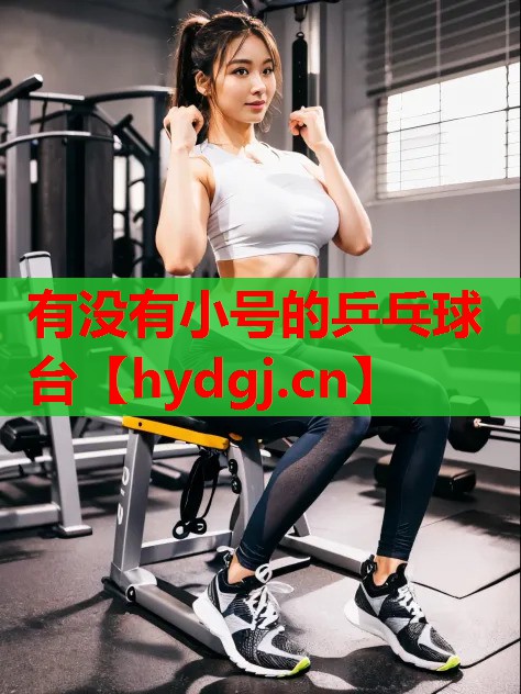 有没有小号的乒乓球台 有没有小号的乒乓球台