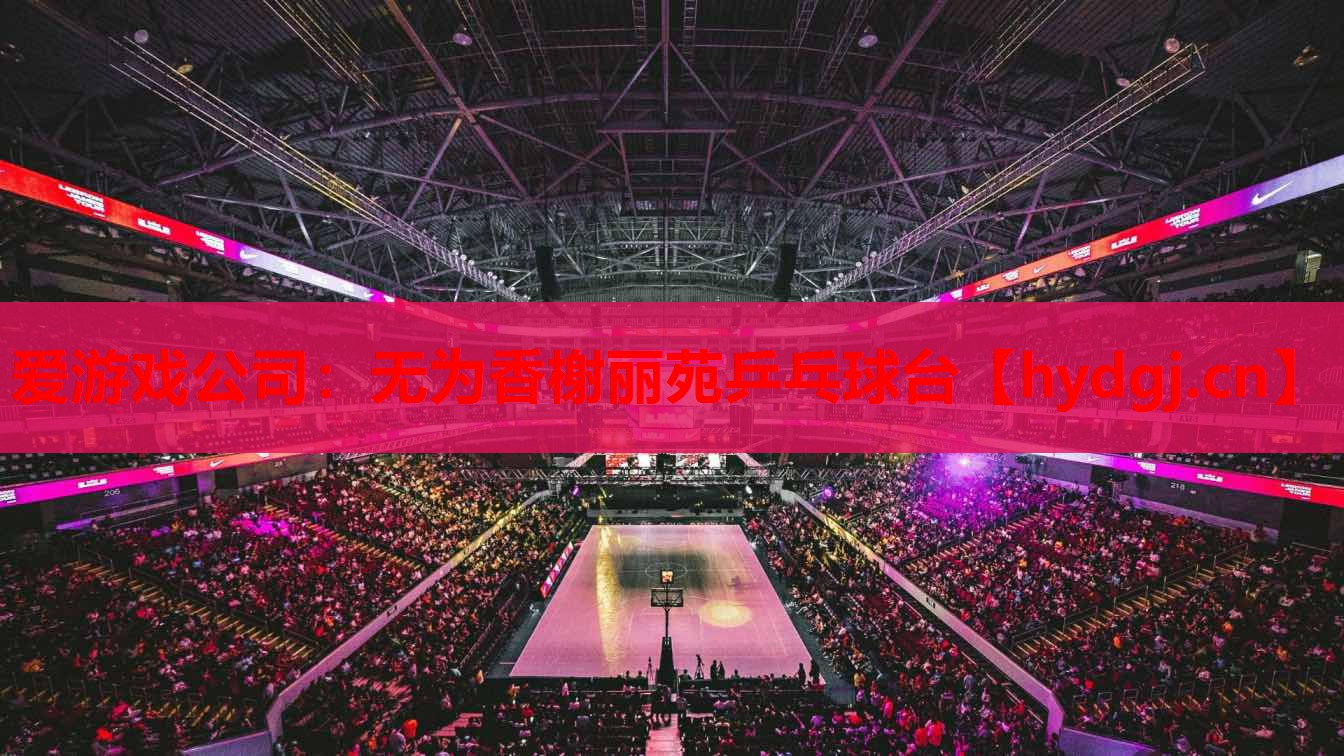 无为香榭丽苑乒乓球台 无为香榭丽苑乒乓球台