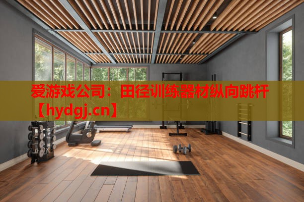 田径训练器材纵向跳杆 田径训练器材纵向跳杆
