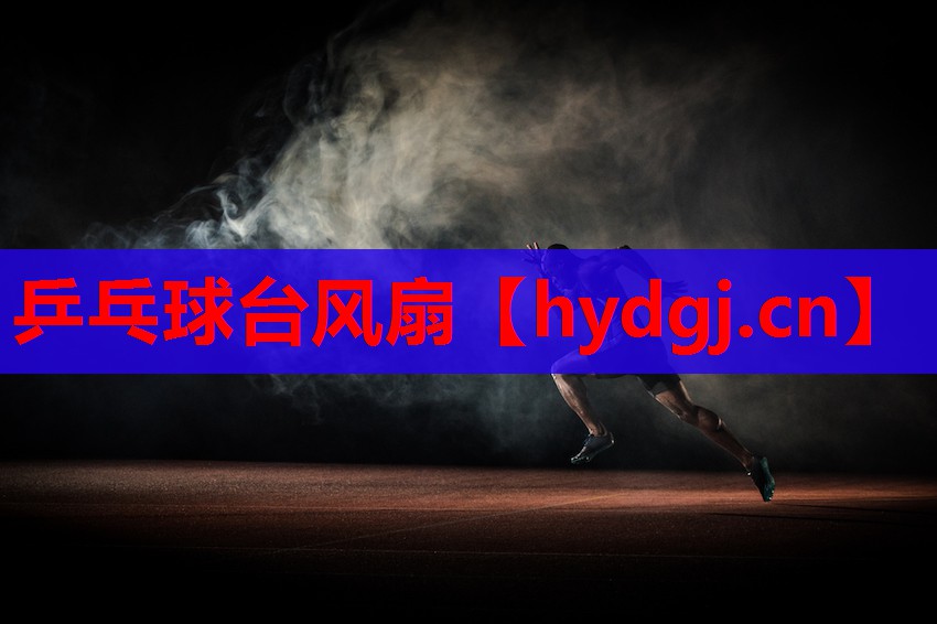 乒乓球台风扇 乒乓球台风扇