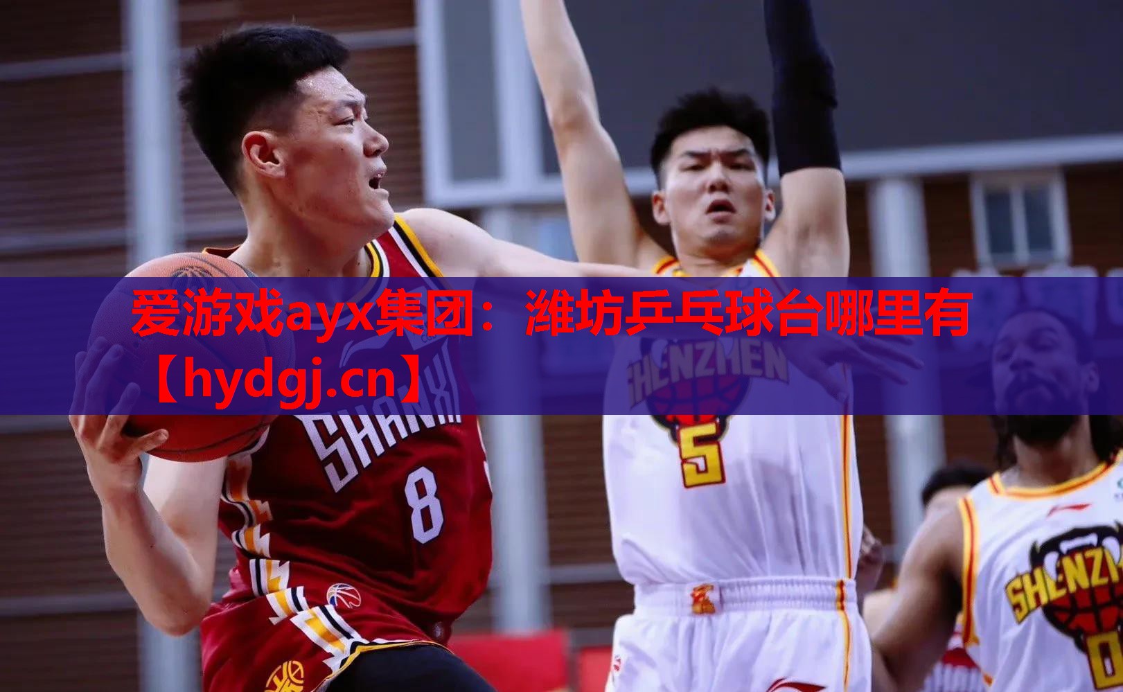 潍坊乒乓球台哪里有 潍坊乒乓球台哪里有