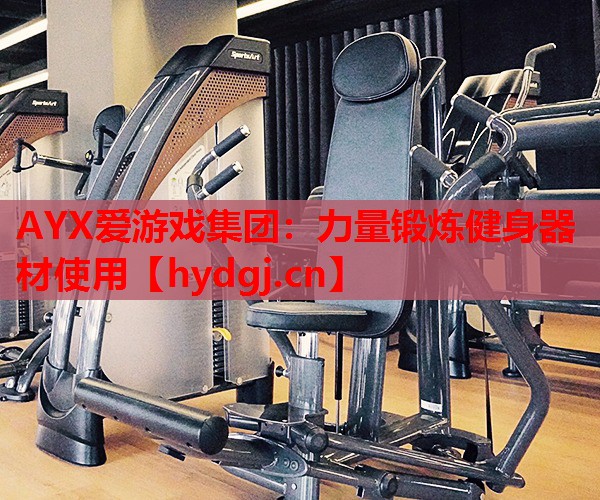 力量锻炼健身器材使用 力量锻炼健身器材使用