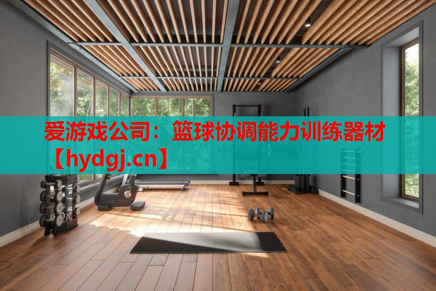 篮球协调能力训练器材 篮球协调能力训练器材