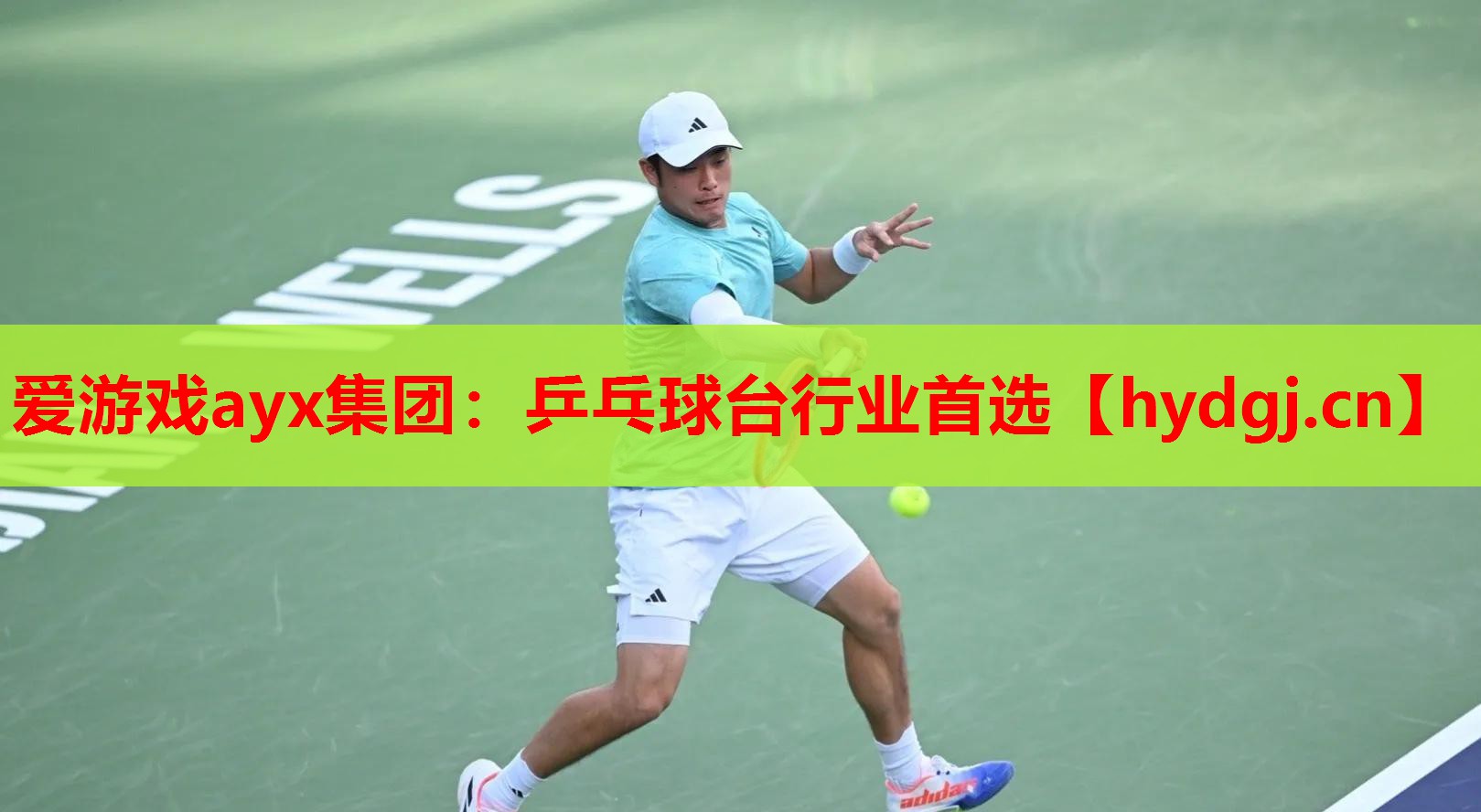 乒乓球台行业首选 乒乓球台行业首选