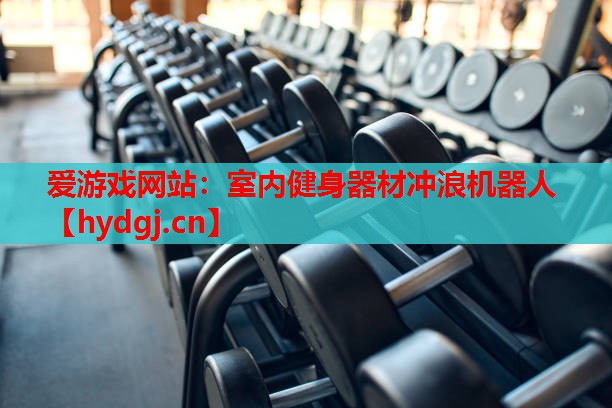 室内健身器材冲浪机器人 室内健身器材冲浪机器人
