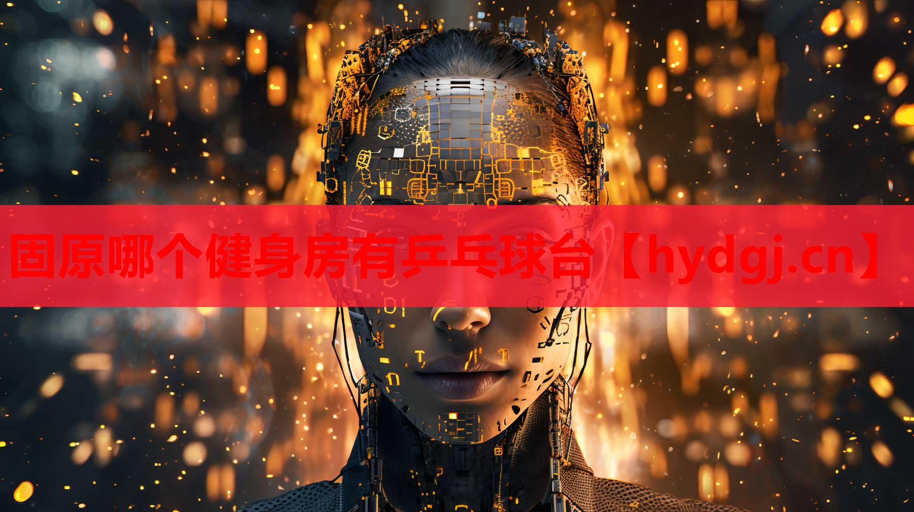固原哪个健身房有乒乓球台 固原哪个健身房有乒乓球台