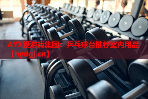 乒乓球台推荐室内用品 乒乓球台推荐室内用品