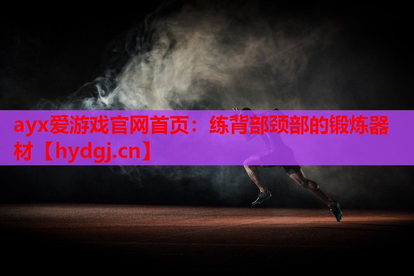 练背部颈部的锻炼器材 练背部颈部的锻炼器材