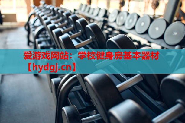 学校健身房基本器材 学校健身房基本器材