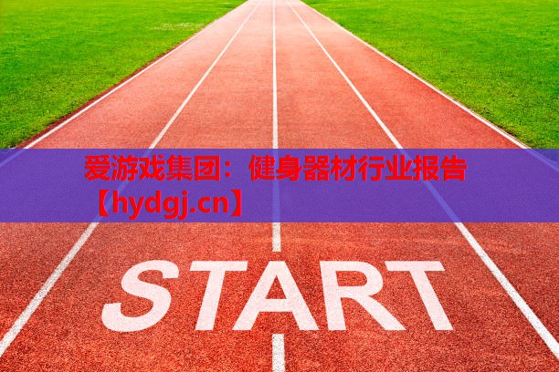 健身器材行业报告 健身器材行业报告