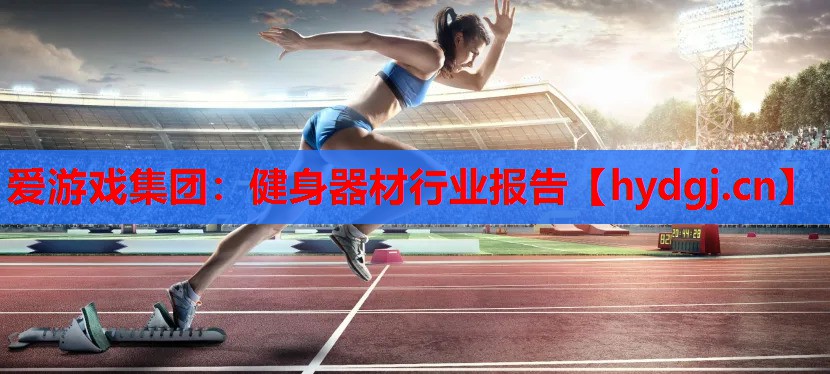 健身器材行业报告 健身器材行业报告