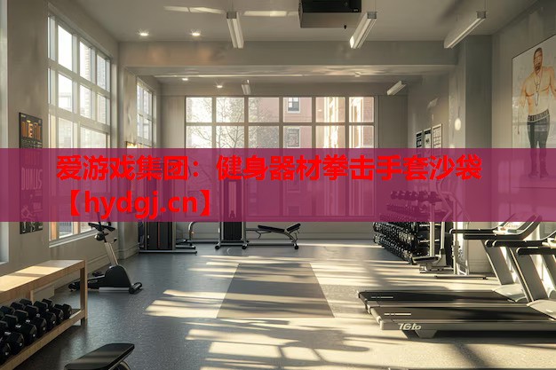健身器材拳击手套沙袋 健身器材拳击手套沙袋
