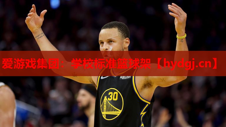 学校标准篮球架 学校标准篮球架