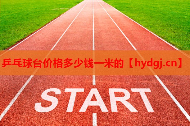 乒乓球台价格多少钱一米的 乒乓球台价格多少钱一米的