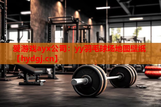 yy羽毛球场地图壁纸 yy羽毛球场地图壁纸