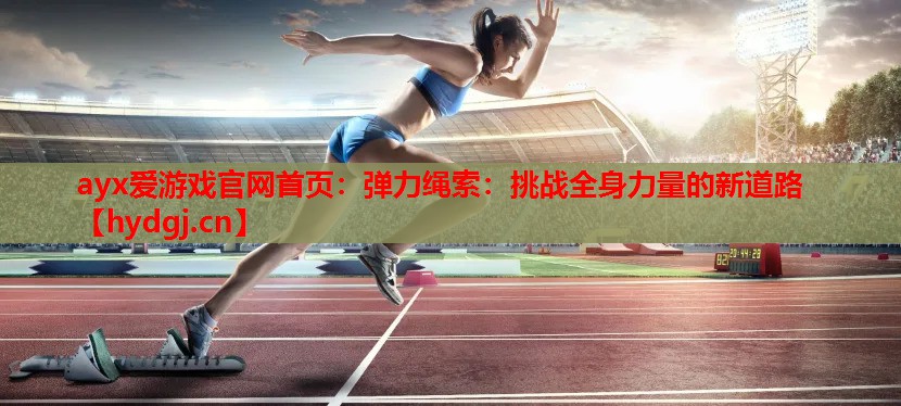 弹力绳索:挑战全身力量的新道路 弹力绳索:挑战全身力量的新道路