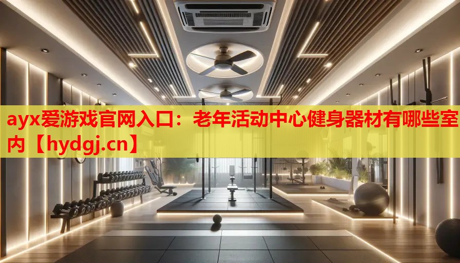 老年活动中心健身器材有哪些室内 老年活动中心健身器材有哪些室内
