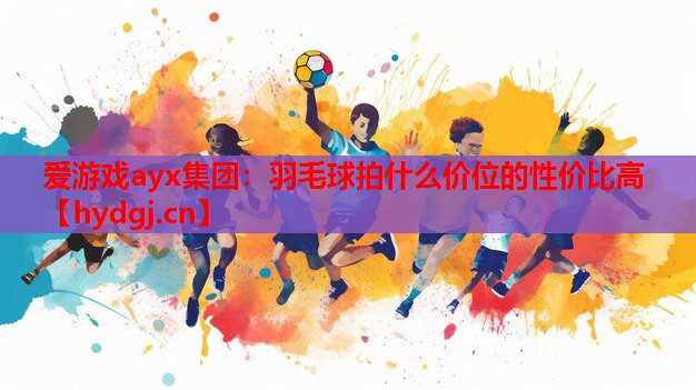 羽毛球拍什么价位的性价比高 羽毛球拍什么价位的性价比高