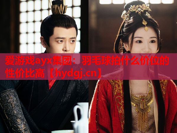 羽毛球拍什么价位的性价比高 羽毛球拍什么价位的性价比高