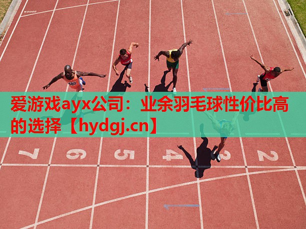 业余羽毛球性价比高的选择 业余羽毛球性价比高的选择