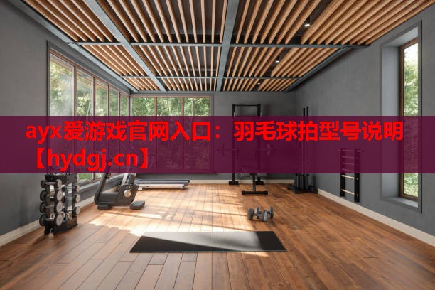 羽毛球拍型号说明 羽毛球拍型号说明