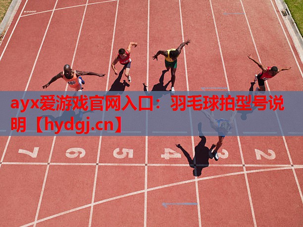 羽毛球拍型号说明 羽毛球拍型号说明
