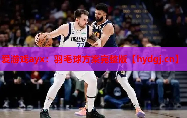 羽毛球方案完整版 羽毛球方案完整版