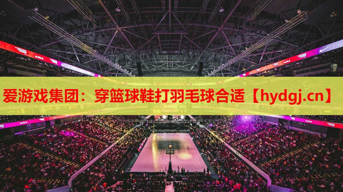 穿篮球鞋打羽毛球合适 穿篮球鞋打羽毛球合适