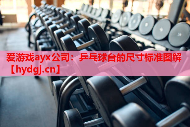 乒乓球台的尺寸标准图解 乒乓球台的尺寸标准图解