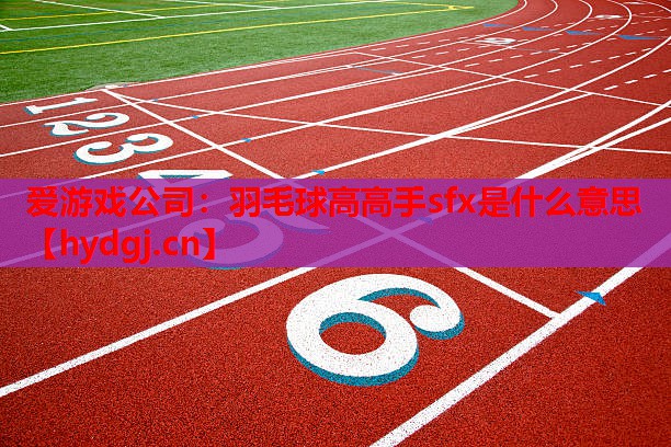 羽毛球高高手sfx是什么意思 羽毛球高高手sfx是什么意思