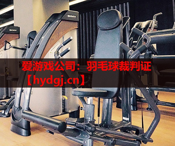 羽毛球裁判证 羽毛球裁判证
