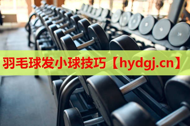 羽毛球发小球技巧 羽毛球发小球技巧