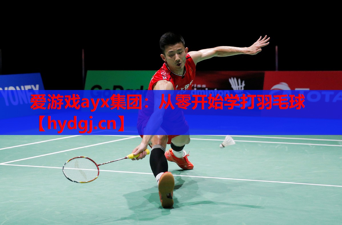 从零开始学打羽毛球 从零开始学打羽毛球