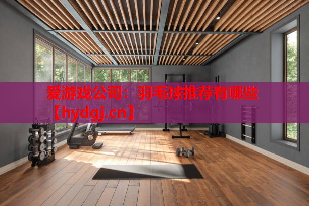 羽毛球推荐有哪些 羽毛球推荐有哪些