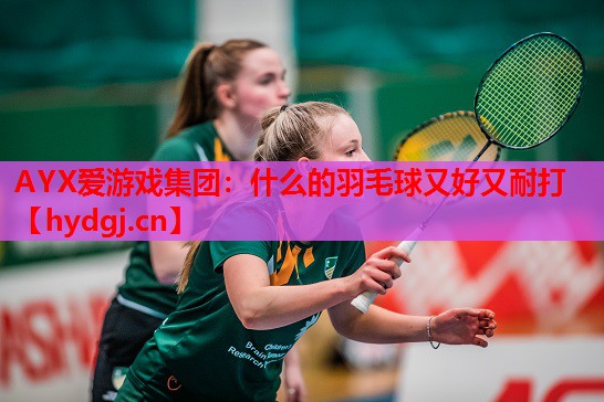 什么的羽毛球又好又耐打 什么的羽毛球又好又耐打