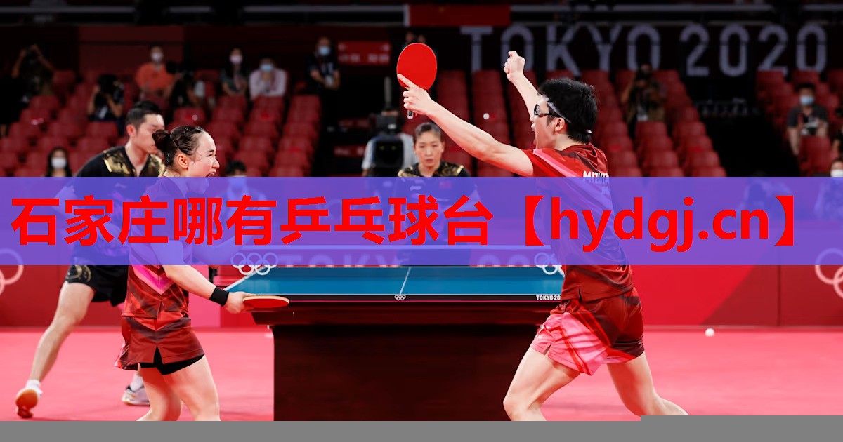 石家庄哪有乒乓球台 石家庄哪有乒乓球台