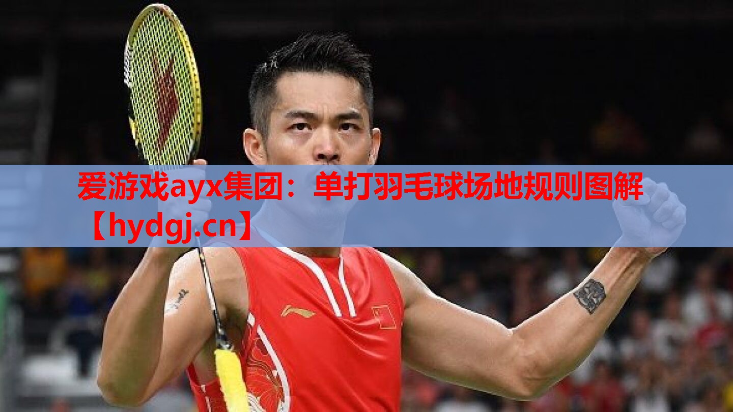 单打羽毛球场地规则图解 单打羽毛球场地规则图解