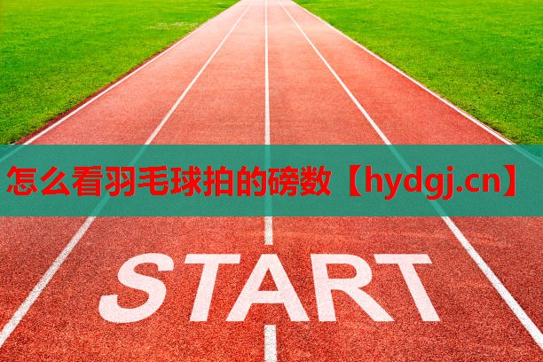 怎么看羽毛球拍的磅数 怎么看羽毛球拍的磅数