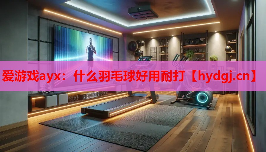 什么羽毛球好用耐打 什么羽毛球好用耐打
