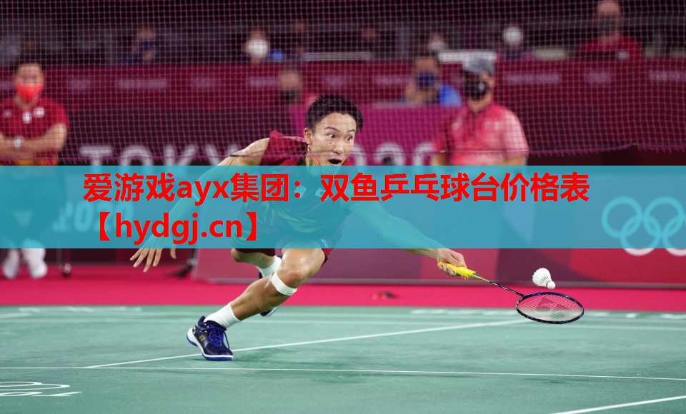 双鱼乒乓球台价格表 双鱼乒乓球台价格表