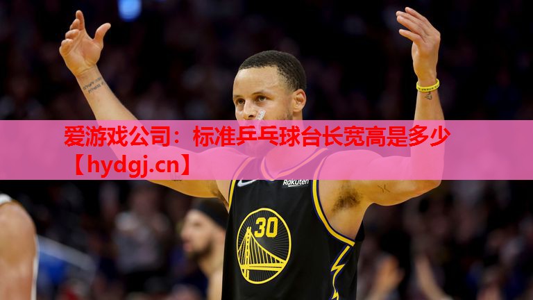 标准乒乓球台长宽高是多少 标准乒乓球台长宽高是多少